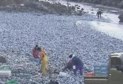 渔民吃瓜现场视频,欢乐渔村生活瞬间