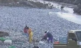 渔民吃瓜现场视频,欢乐渔村生活瞬间