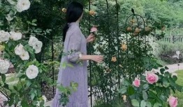 吃瓜小院写真,揭秘日常生活中的欢乐瞬间