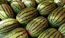 成都哪个学校吃瓜