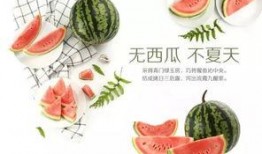 文化吃瓜后续,揭秘娱乐圈背后的故事与真相