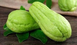 伊莱吃瓜,揭秘娱乐圈幕后故事