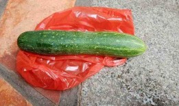 什么瓜可以吃吗,根据什么瓜可以吃的多样选择