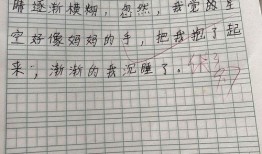 吃瓜歌仿写吃果歌,跟随“吃果歌”畅游缤纷果香世界