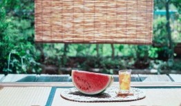 撒野吃瓜,揭秘娱乐圈幕后故事