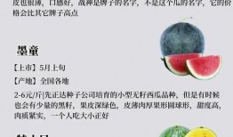 吃瓜说明书