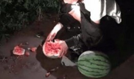 女子偷瓜被罚吃,一场意外的“瓜农维权”风波