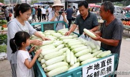 吃白玉瓜吗,探寻白玉瓜的美味之旅