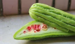 李茶茶吃瓜系统,揭秘娱乐圈幕后真相