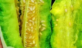 瓜哥怎么吃,瓜哥教你轻松解锁各种瓜果美味吃法