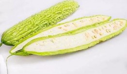 埔瓜吃清凉,夏日消暑新风尚