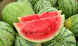 抱瓜吃瓜,共享喜悦，品味人生