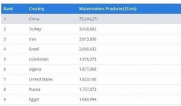 云兰吃瓜网址,带你领略网络热点的魅力所在