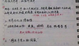 瓜老师的笔记吃瓜排行,吃瓜排行背后的热点风云