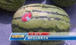 昆卫吃瓜,揭秘娱乐圈背后的那些事儿