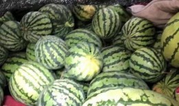 瓜哥怎么吃,瓜哥教你轻松解锁各种瓜果美味吃法