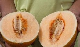 9爆料吃瓜网,揭秘娱乐圈最新热点事件