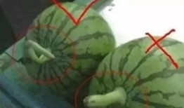 吃瓜网怎么制作,轻松制作热门话题概述文章的秘诀