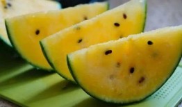 撒野吃瓜,揭秘娱乐圈幕后故事