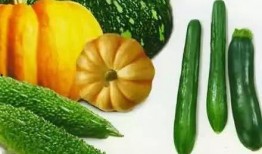 凤凰山下吃瓜,揭秘民间美食传奇