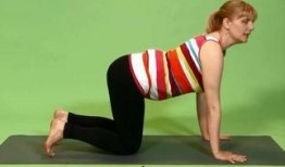 瑜伽老师了了吃瓜,揭秘瑜伽界的“吃瓜”趣事