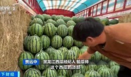 凤凰山下吃瓜,揭秘民间美食传奇