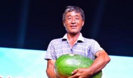 鄄城最新吃瓜事件,揭秘背后真相与网络热议