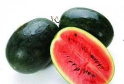 西亚麒麟瓜怎么吃,西亚麒麟瓜的多彩食法探索