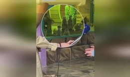 极地吃瓜,吃瓜群众眼中的冰雪奇缘