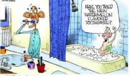 吃瓜讽刺,讽刺背后的社会现象解析