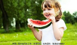 推荐吃瓜小阿妹小说,揭秘娱乐圈背后的秘密风云