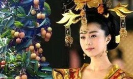 妲喜吃瓜记合集,宫廷秘闻与市井笑谈的趣味汇编