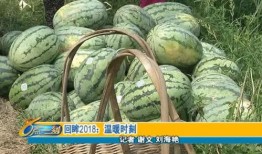 萍乡吃瓜视频,揭秘当地美食文化盛宴