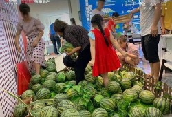 景景吃瓜,揭秘娱乐圈幕后故事