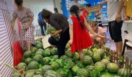 景景吃瓜,揭秘娱乐圈幕后故事