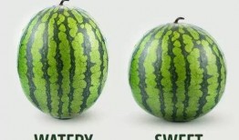 吃瓜秒懂,轻松解读娱乐圈热点事件