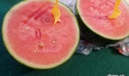 西亚麒麟瓜怎么吃,西亚麒麟瓜的多彩食法探索