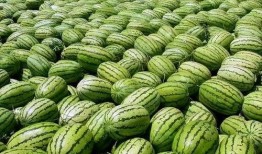 昆卫吃瓜,揭秘娱乐圈背后的那些事儿