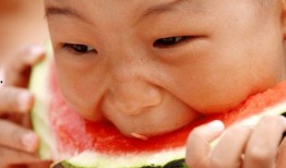 吃娃娃不吃瓜,揭秘“吃娃娃不吃瓜”的独特魅力