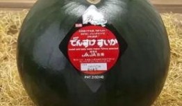 专业团队吃瓜群众,揭秘网络舆论场的双面魅力