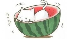 带你吃瓜啦,揭秘娱乐圈那些不为人知的幕后故事