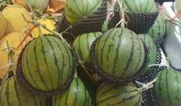 穿越吃瓜糖,揭秘“吃瓜糖”背后的奇幻世界