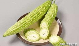 吃瓜系统宝宝,趣味互动，轻松学习新体验