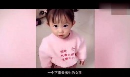 小雨吃瓜事件,揭秘网络舆论的狂欢与反思