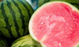 吃瓜不能喝茶,揭秘吃瓜与喝茶的完美搭配