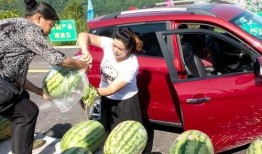 吃瓜群众岱岱股票,吃瓜群众的投资之旅