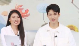 明星吃瓜直播间打假,打假背后的真相与反思