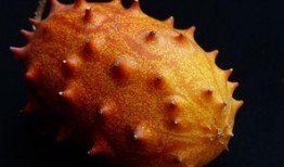 孕妇可以吃刺角瓜,刺角瓜的营养与美味