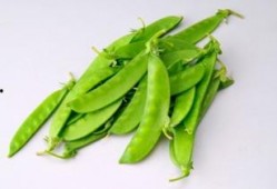 孕妇可以吃刺角瓜,刺角瓜的营养与美味