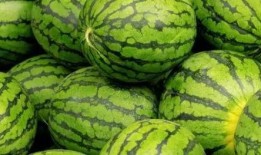 抱瓜吃瓜,共享喜悦，品味人生